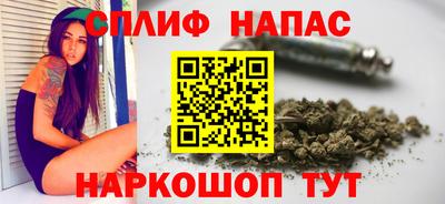 a pvp Обь