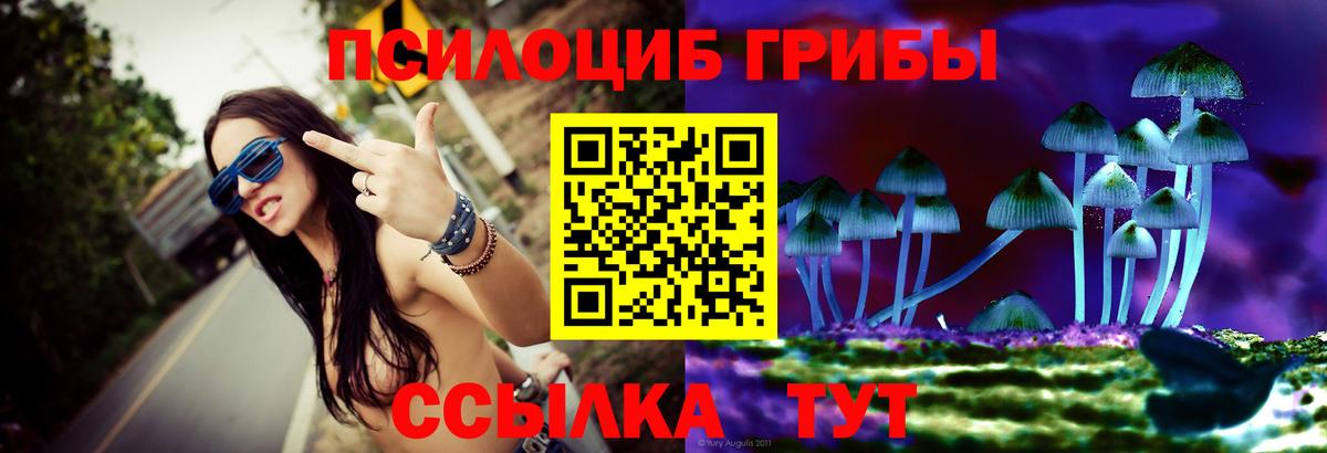 Псилоцибиновые грибы мицелий  Вход с VPN  Татарск  Галлюциногенные грибы MAGIC MUSHROOMS 
